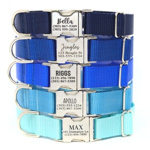 Personalized Engraved Dog Collar, Go Tagless! Choose from 28 colors & 12 fonts! All Webbing Metal Hardware Dog Collar, Endurance Collection