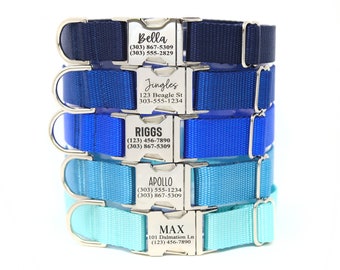 Personalized Engraved Dog Collar, Go Tagless! Choose from 28 colors & 12 fonts! All Webbing Metal Hardware Dog Collar, Endurance Collection