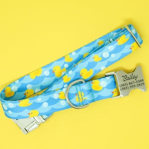 May include: A blue and yellow dog collar with a rubber ducky pattern. The collar has a silver buckle with the name "Bailey" and phone numbers engraved on it.
