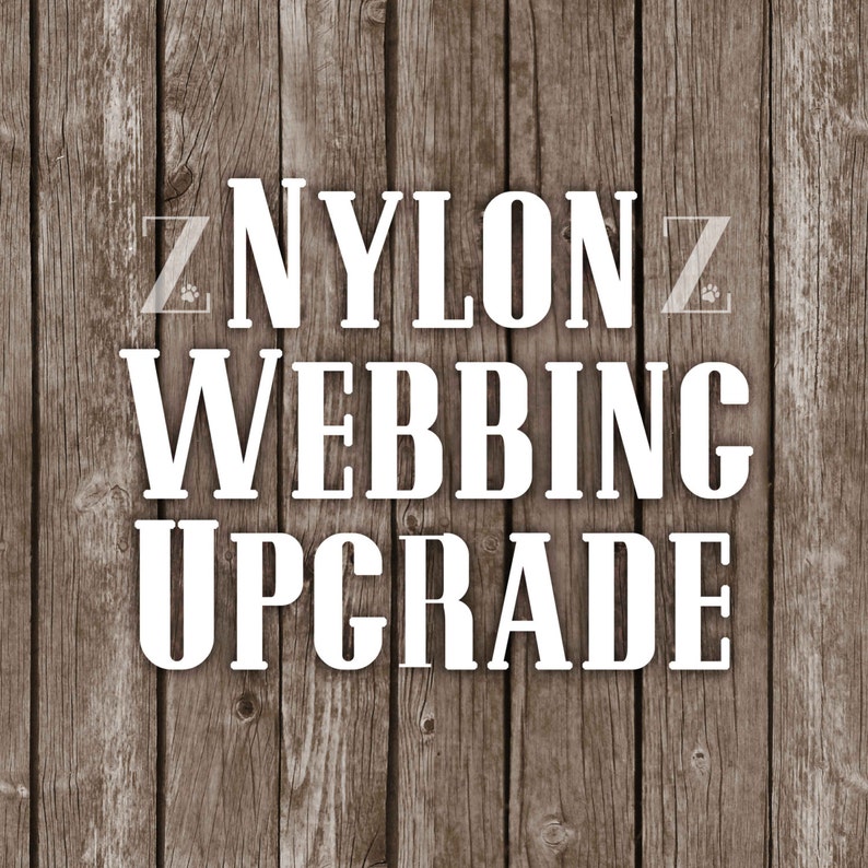 Upgrade Collar to be on Nylon Webbing image 1