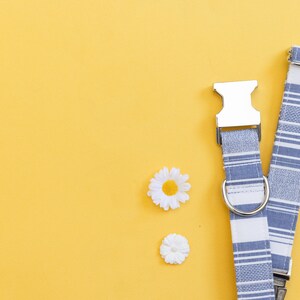 May include: A blue and white striped dog collar with a silver buckle and a silver D-ring. Two white daisies are on a yellow background.