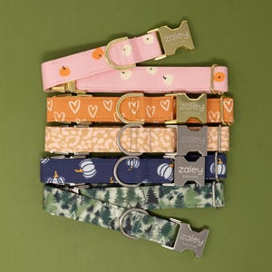 May include: A stack of six colorful dog collars with different patterns, including pumpkins, hearts, and leaves. Each collar has a silver buckle with the text "Zaley Designs".