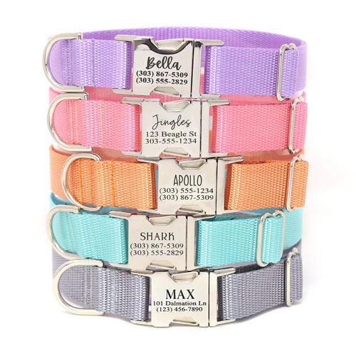 Personalized Dog Collar Go Tagless Engraved Name & Phone Etsy