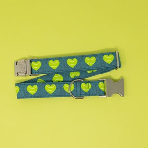 May include: A teal dog collar with a pattern of lime green tennis ball hearts. The collar has a silver metal buckle and a D-ring. The background is a solid yellow-green.