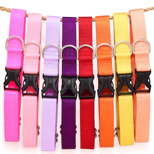 Simply Classic Dog Collar by Zaley Designs, All Webbing Dog Collar with YKK plastic buckle