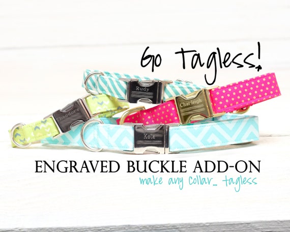 tagless dog collar
