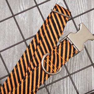 Orange Stripes Halloween Dog Collar, Orange and Black, Spooky Pet Collar by Zaley Designs