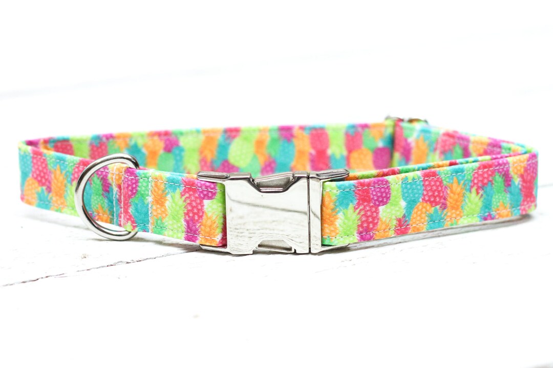 Pineapple Dog Collar, Tropical Dog Collar, Female Dog Collar, Neon Dog