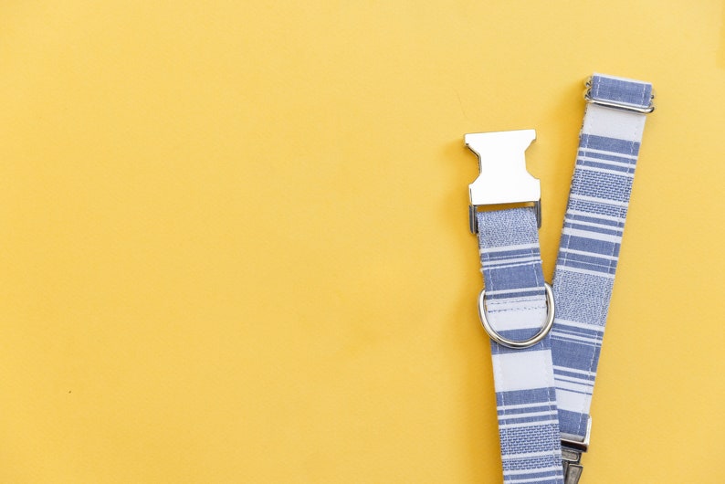 May include: Two blue and white striped dog collars with silver buckles and D-rings.