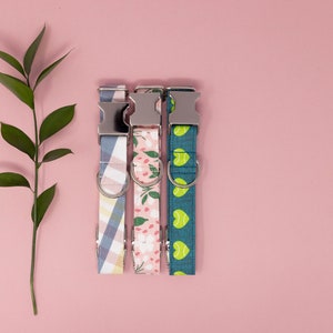 May include: Three dog collars with metal buckles and D-rings. The collars feature different patterns: a blue and white plaid, a floral print, and a teal pattern with green tennis balls. A green leafy stem is on the left.