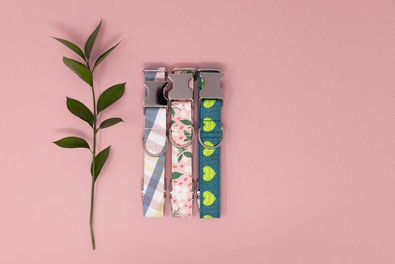 May include: Three dog collars with metal buckles and D-rings. The collars feature different patterns: a blue and white plaid, a floral print, and a teal pattern with green tennis balls. A green leafy stem is on the left.