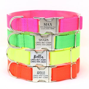 Neon Colored Personalized Dog Collar, Engraved Name & Phone Number on Metal Buckle, Hot Pink, High Visibility, Neon Yellow, Hot Orange