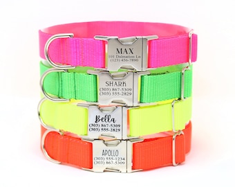 Neon Colored Personalized Dog Collar, Engraved Name & Phone Number on Metal Buckle, Hot Pink, High Visibility, Neon Yellow, Hot Orange