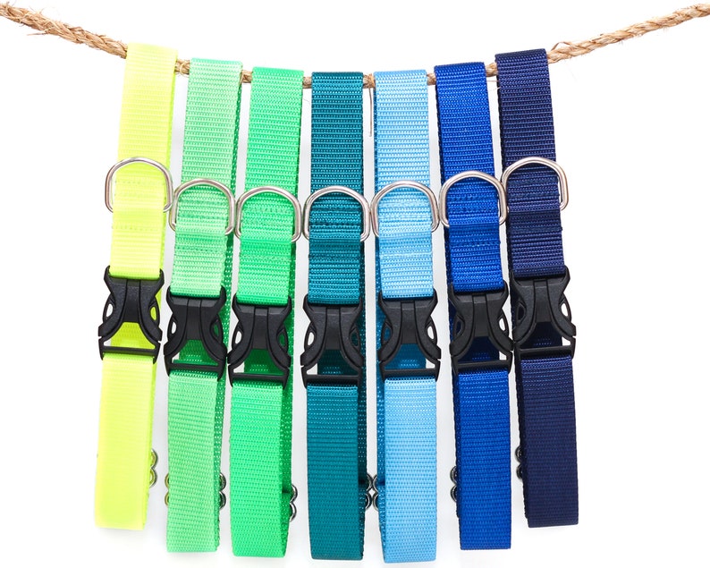 May include: A set of eight dog collars in various colors, including neon yellow, green, teal, light blue, blue, and navy blue. The collars are made of nylon and have a black plastic buckle and a silver metal D-ring.