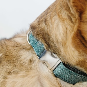 Teal Glitter Dog Collar, Special Occasion Dog Collar, Wedding Dog Collar, Teal Blue Green Pet Collar, Blue, Dog mom gift, Zaley Designs