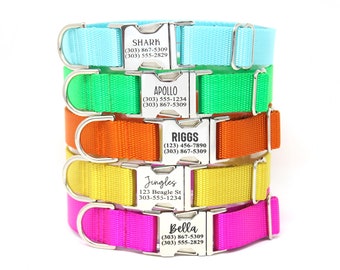 Puede incluir: Cinco collares de perro coloridos con hebillas plateadas y etiquetas de nombre grabadas. Los collares están apilados uno encima del otro. Las etiquetas de nombre incluyen los nombres Shark, Apollo, Riggs, Jingles y Bella, junto con números de teléfono.