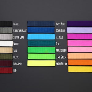 May include: A color chart showing 20 different colors of webbing. The colors are arranged in two columns, with the names of the colors listed below each sample.