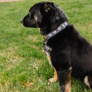 Puede incluir: Un perro negro y marr&oacute;n con un collar azul y rojo con tem&aacute;tica de b&eacute;isbol se sienta en la hierba verde con una pelota de b&eacute;isbol blanca delante de &eacute;l.