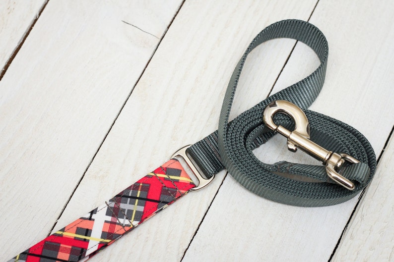 Add a Matching Hybrid-Leash