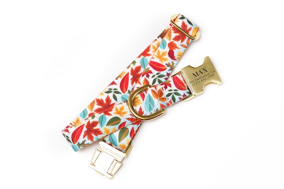Personalized Fall Dog Collar | Autumn Leaves Engraved Metal Buckle Custom Name Phone Number Heavy Duty Webbing Collar