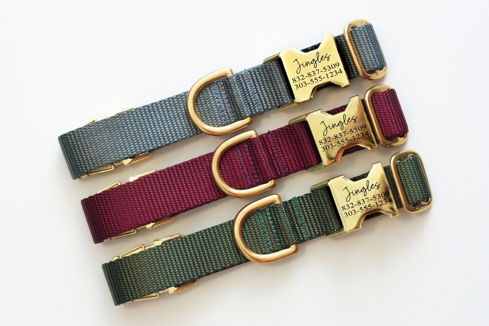 Personalized Dog Collar Go Tagless Engraved Name & Phone Etsy
