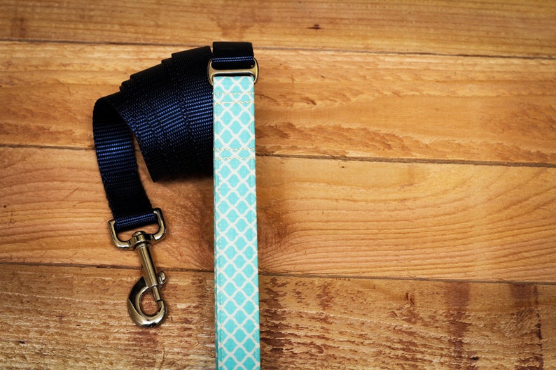 Add a Matching Hybrid-Leash