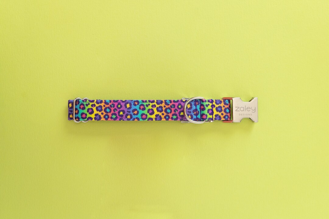DOG COLLAR A NIGHT IN THE 90S main image 1