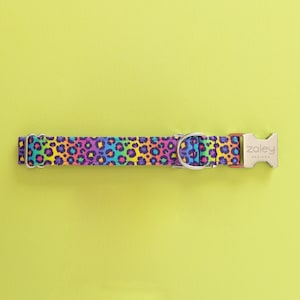 Retro Dog Collar, Rainbow Leopard, Rainbow Cheetah Dog Collar, 90s retro dog collar, 90s dog collar, 90s rainbow dog collar, throwback