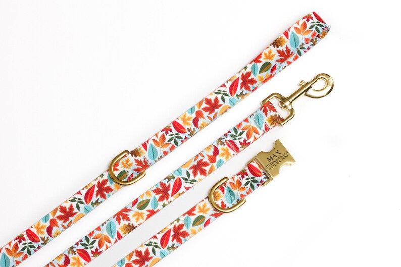 May include: A white dog collar and leash with a colorful autumn leaf pattern. The collar has a gold buckle with the name "MAX" engraved on it.