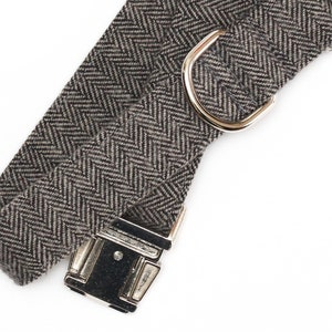 Puede incluir: Un collar para perro de color marr&oacute;n y gris con estampado de espiga y herrajes plateados, incluyendo una hebilla y un anillo en D.