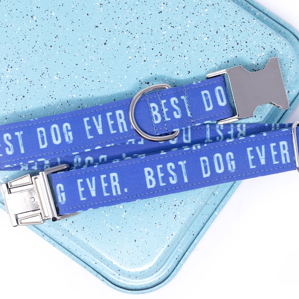 Best Dog Ever Dog Collar with metal buckle, Male or Female dog collar, Blue Dog Collar