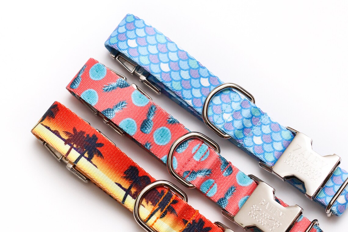 Personalized Dog Collar Go Tagless Engraved Name & Phone Etsy