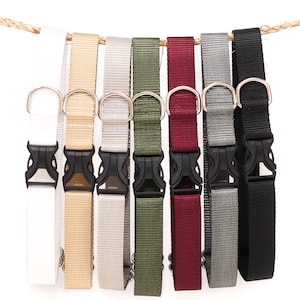 May include: Eight different colored dog collars with silver buckles and black plastic clasps. The collars are hanging from a rope.