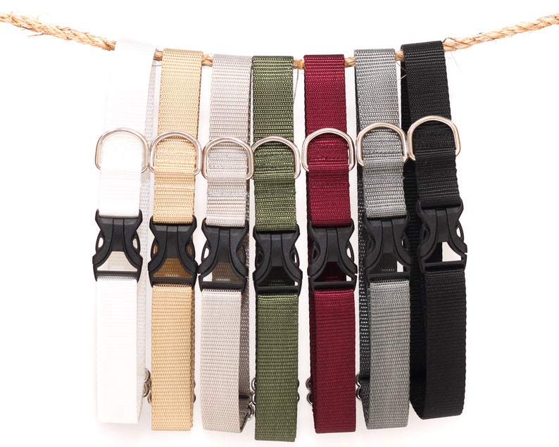May include: Eight different colored dog collars with silver buckles and black plastic clasps. The collars are hanging from a rope.