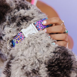 90s Rainbow Leopard Dog Collar, Rainbow Cheetah Dog Collar, 90s retro dog collar, 90s dog collar, rainbow dog collar, throwback dog collar