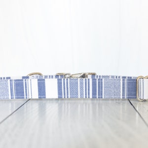 May include: A blue and white striped dog collar with a silver buckle and a gold D-ring.