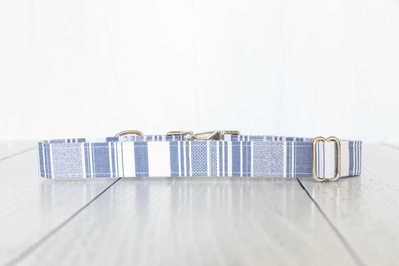May include: A blue and white striped dog collar with a silver buckle and a gold D-ring.