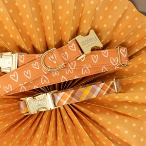 May include: Two dog collars with gold hardware. One collar is orange with white hearts and the text "Zaley Designs". The other collar is orange, yellow, and brown plaid.