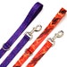 see more listings in the Leashes section