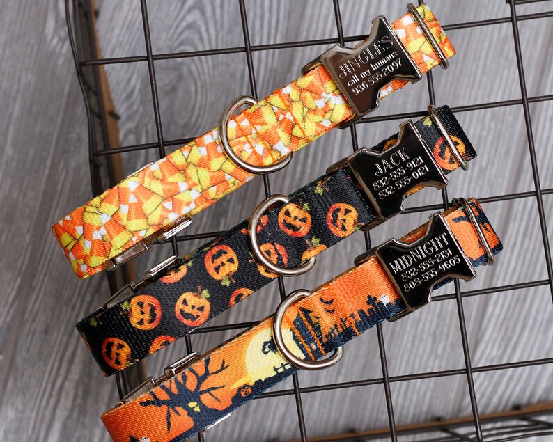 Halloween Personalized Dog Collar Go Tagless Engraved Name & Etsy