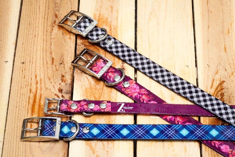 Stink proof /& ready for any kind of dog! Dirt proof The TITAN Collar by Zaley Designs that is totally Stain Proof Waterproof Dog Collar
