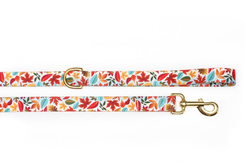 May include: A white dog leash with a gold clasp and a colorful autumn leaf pattern.