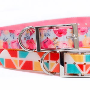 Waterproof Dog Collar, The TITAN Dog Collar, Dirtproof, Stinkproof: Pin Buckle Dog Collar, Webbing, Female, Male, Water Dog Collar