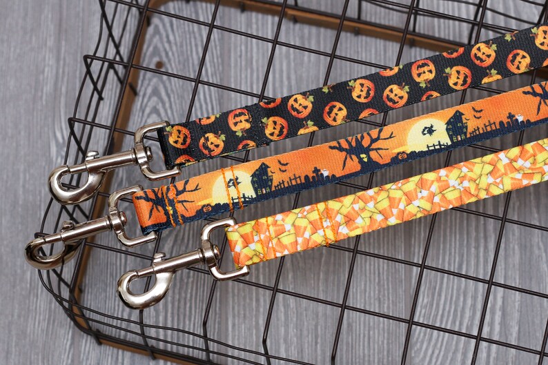 Halloween Personalized Dog Collar Go Tagless Engraved Name & Etsy