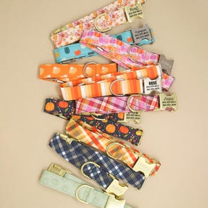 May include: A collection of pet collars featuring various patterns including pumpkins, plaid, and floral designs. Each collar is equipped with a metal buckle and a personalized identification tag displaying names and phone numbers in black text.