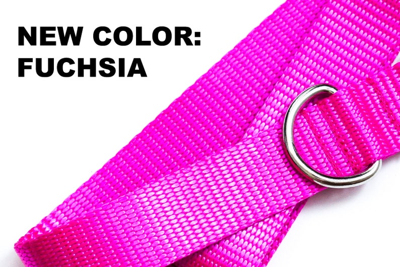 May include: A fuchsia pink dog leash with a silver metal ring.  NEW COLOR: FUCHSIA