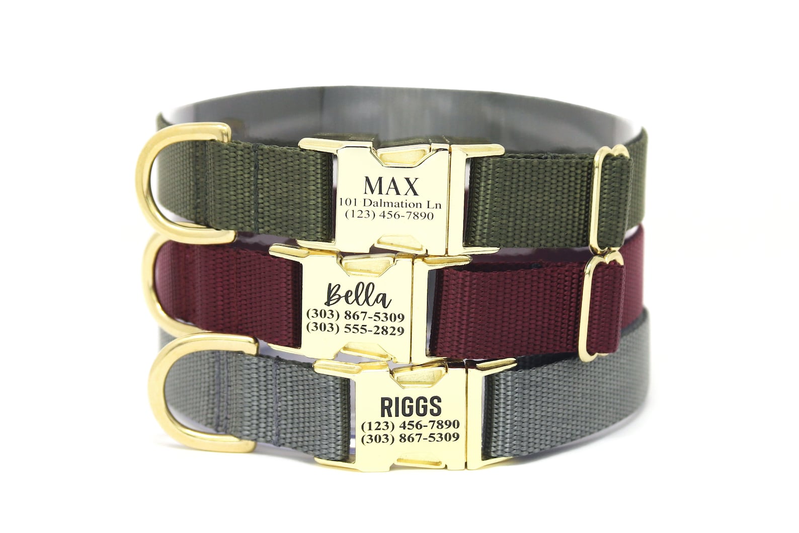 Personalized Dog Collar Go Tagless Engraved Name & Phone Etsy