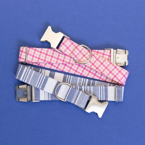 May include: Two dog collars, one pink and white checked and one blue and white striped, with silver buckles.