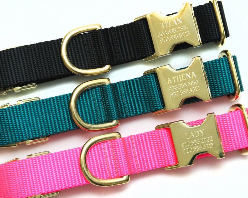 Personalized Dog Collar Go Tagless Engraved Name & Phone Etsy