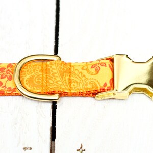 May include: A yellow and orange dog collar with a paisley pattern and a gold metal buckle.
